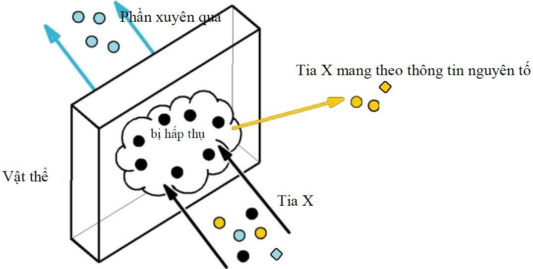  Giải mã bí ẩn máy XRF: Nguyên lý huỳnh quang tia X hoạt động ra sao? 1